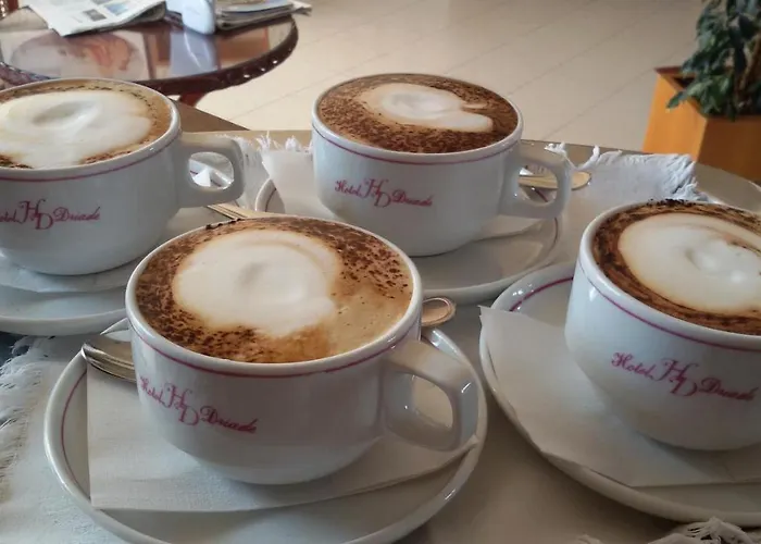 호텔 Driade Sul Mare 3*