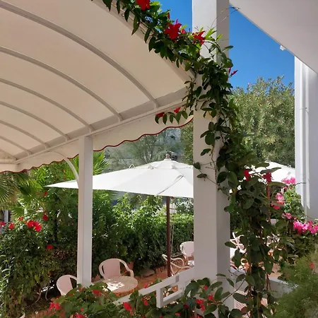 Ξενοδοχείο Driade Sul Mare 3*