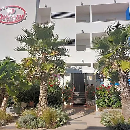 Driade Sul Mare Hotel Rimini