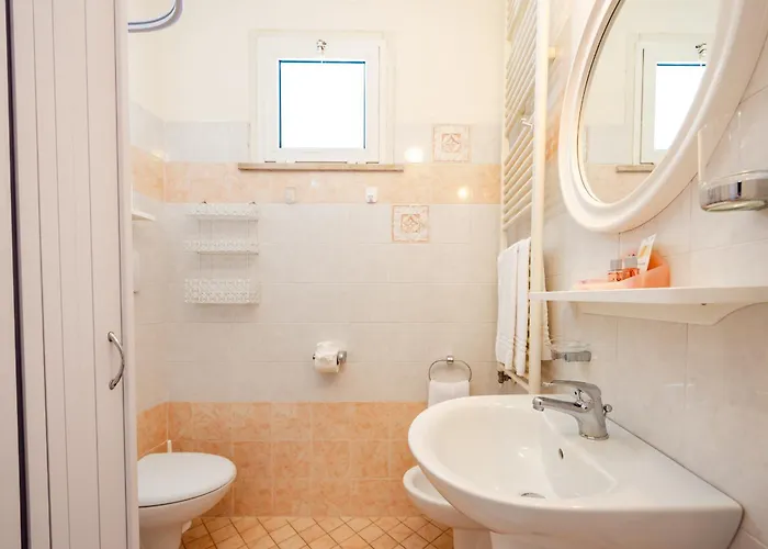 Отель Driade Sul Mare 3*